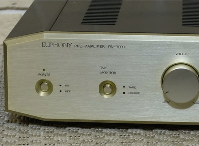 Mary Anne Euphony PA-7000 MM/MC 2