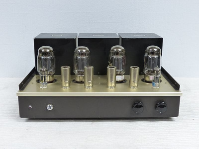 WooDMonitoR KT-88PP Tango 2