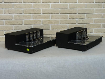 Audio Innovations 1000 SE моно-блоки 50W в кл. A