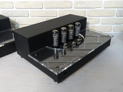 Audio Innovations 1000 SE моно-блоки 50W в кл. A 3