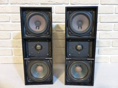 Bang & Olufsen BEOVOX C-75 2