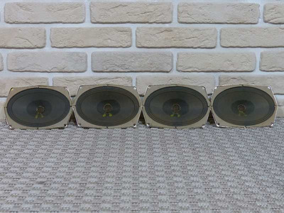 Grundig пара