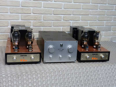 Audio Note Kegon-M Kondo - 2000 год 2