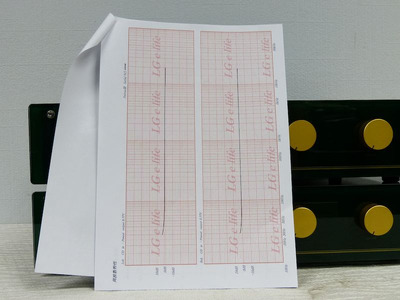 Shindo Retrus III Phono / 2 Моно Преда 4