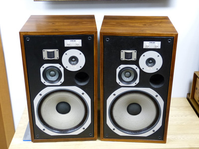 Pioneer HPM-100 / NOS