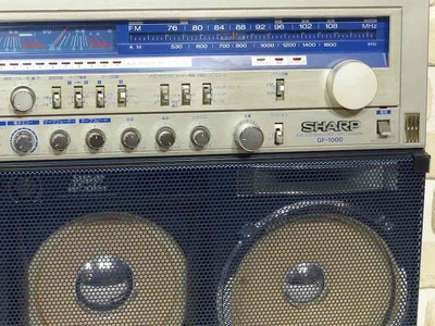Sharp GF-1000 8