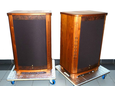 Tannoy Canterbury SE 9