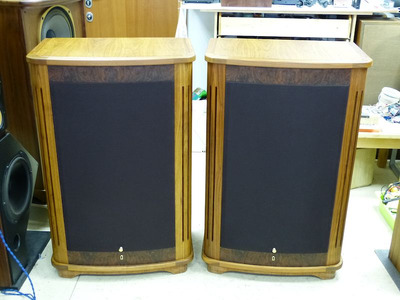 Tannoy Canterbury SE 12