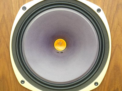 Tannoy Canterbury SE 17