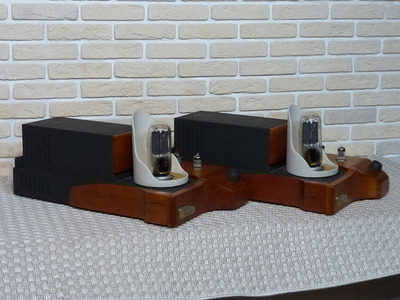 Unison Research Smart 845 Моно-блоки 4