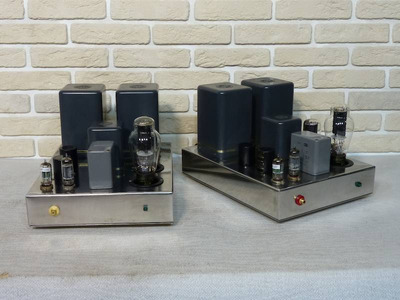 WooDMonitoR 300B SE A-class Mono-block / F-2007