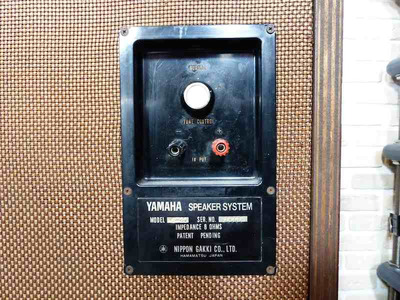 Yamaha NS-20 5