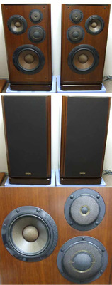 Diatone DS-V5000