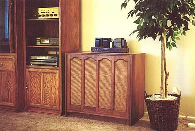 ELECTRO VOICE E-V SIX