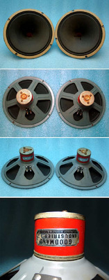 Goodmans 10" Alnico