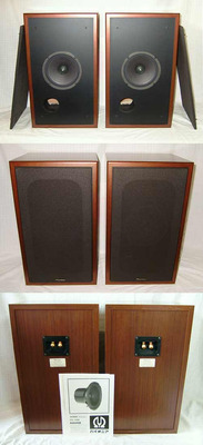 Pioneer PE-16M + CP-PE16