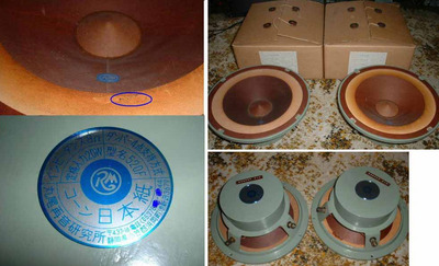 Fullrange Alnico Pair