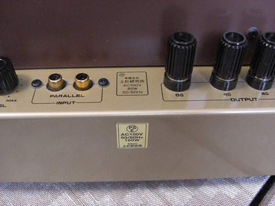 Uesugi U.Bros-21 WE300B / Моно-блоки 4
